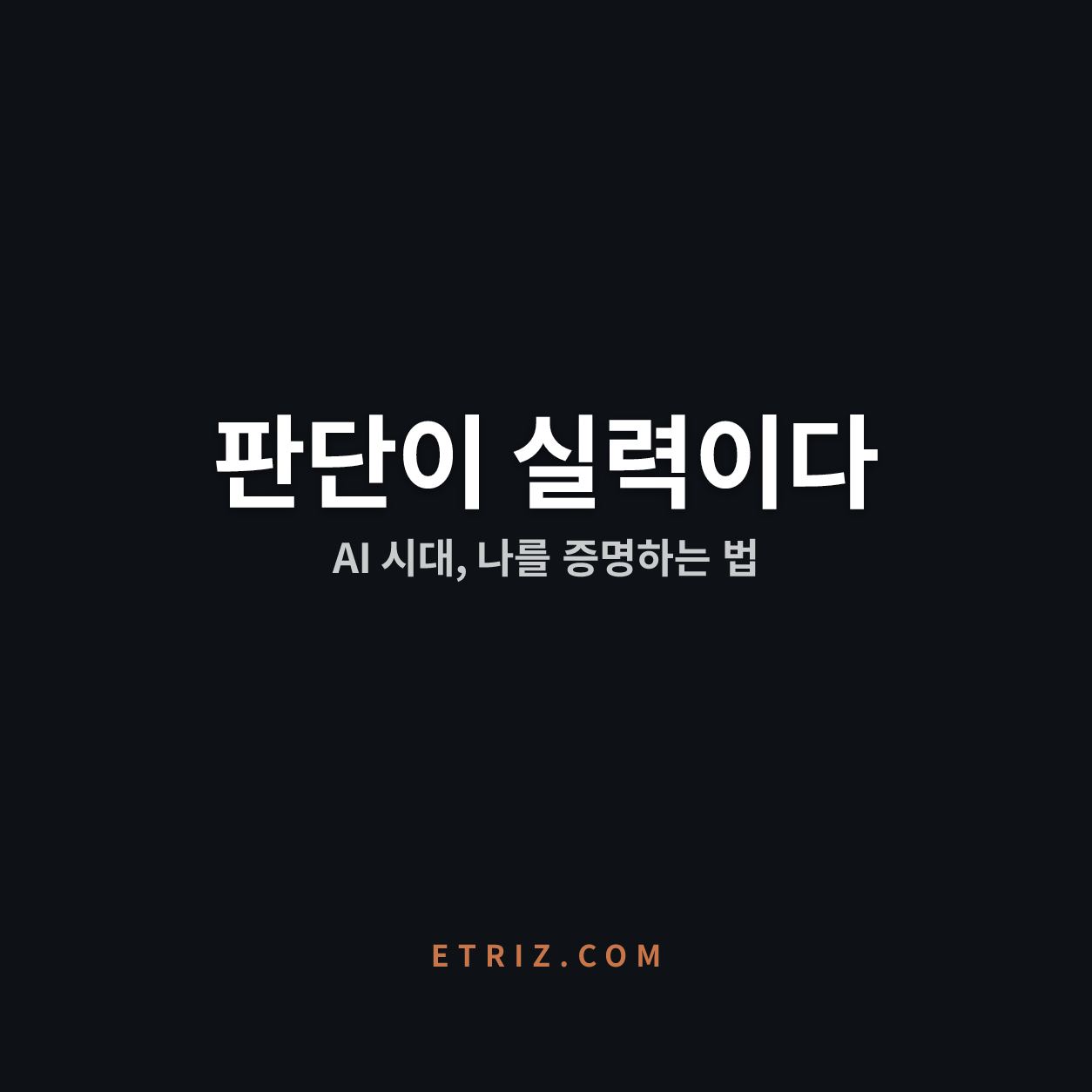 AI 역량 증명 방법 4가지 | 그럴듯함의 시대, 판단이 실력이다 | 이트리즈