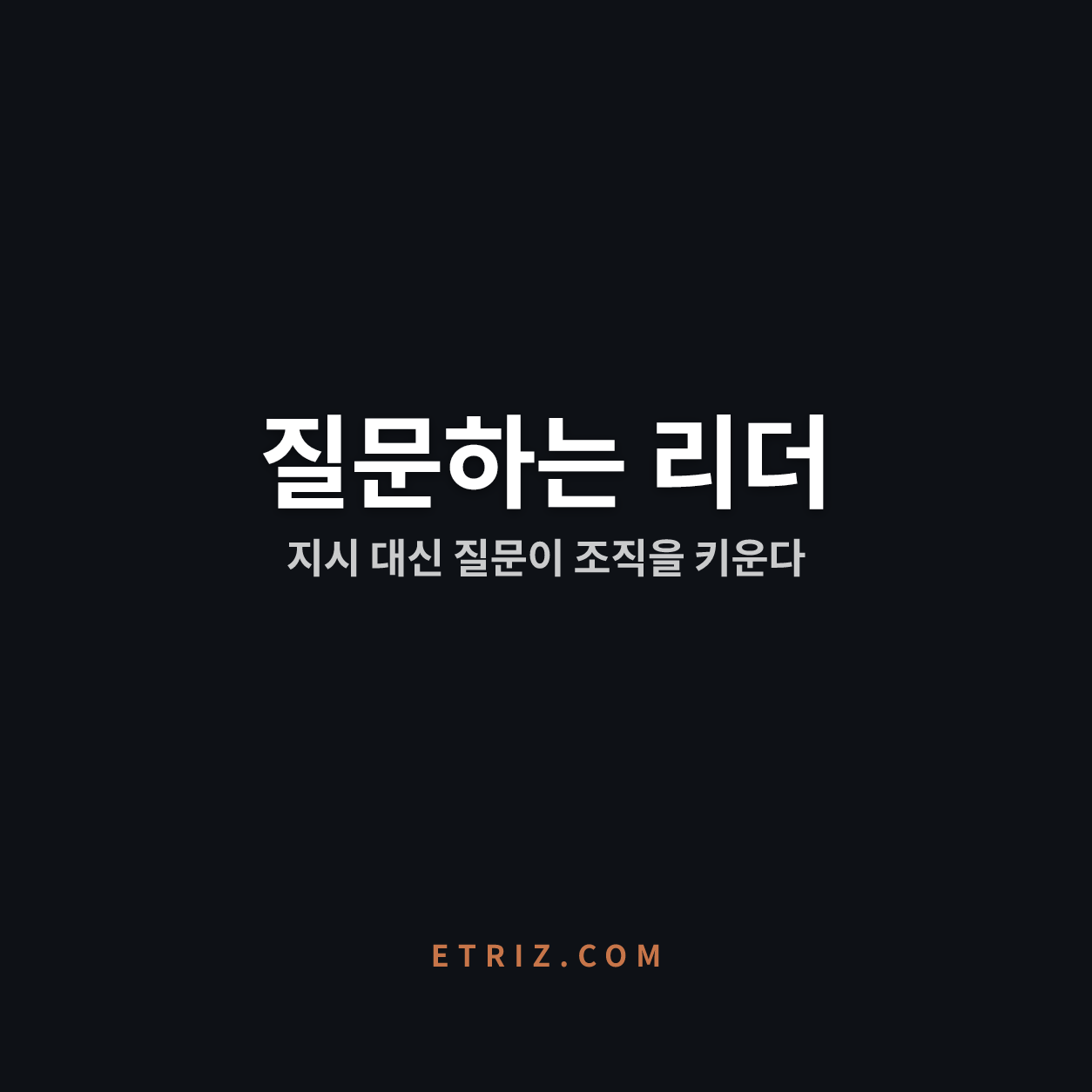 질문 리더십, AI 시대 리더의 조건 | 지시에서 질문으로 | 이트리즈