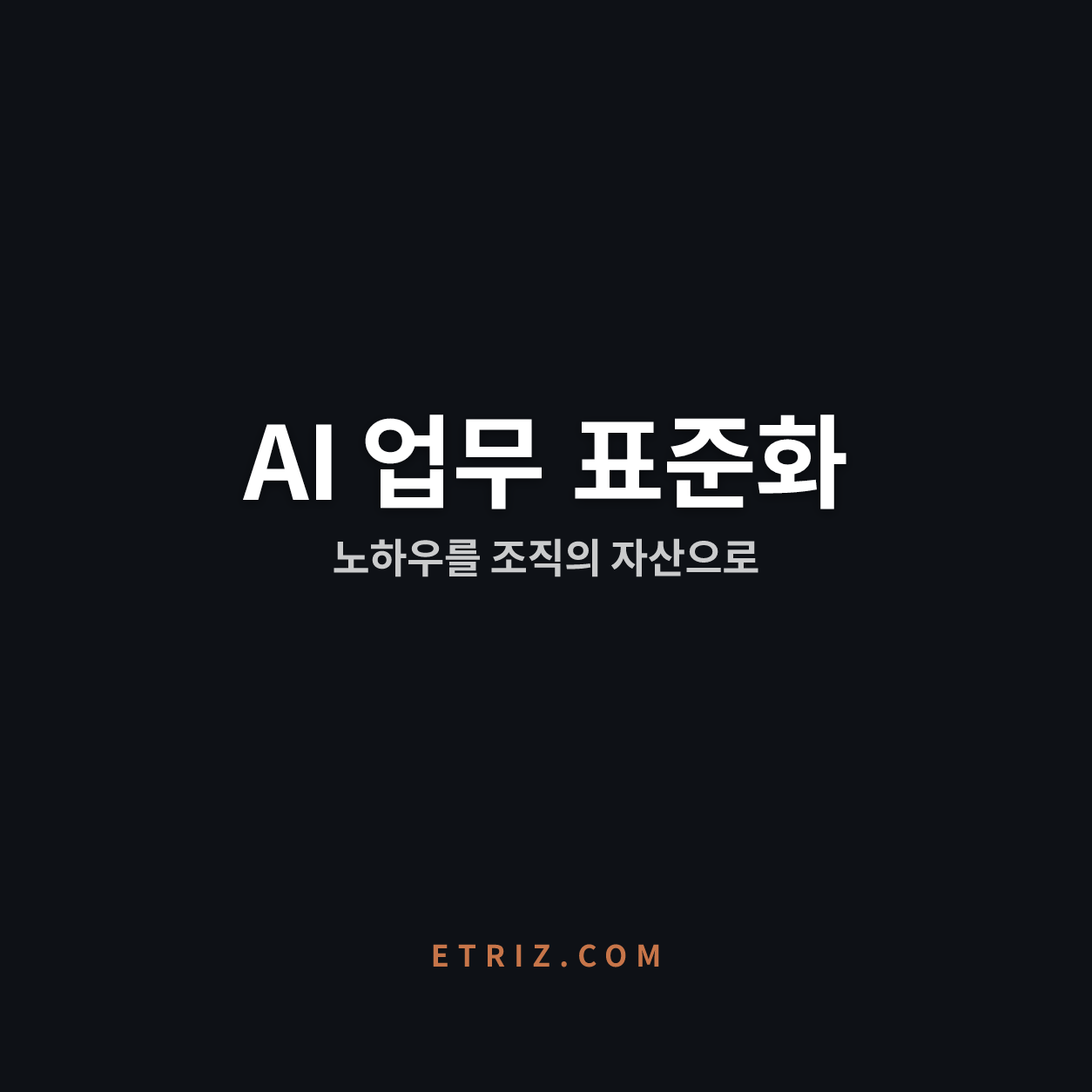 AI 업무 표준화 | Claude Skills 노하우 자산화 | 이트리즈