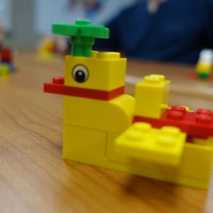 참가자가 만든 서로 다른 LEGO® 오리 모델 2